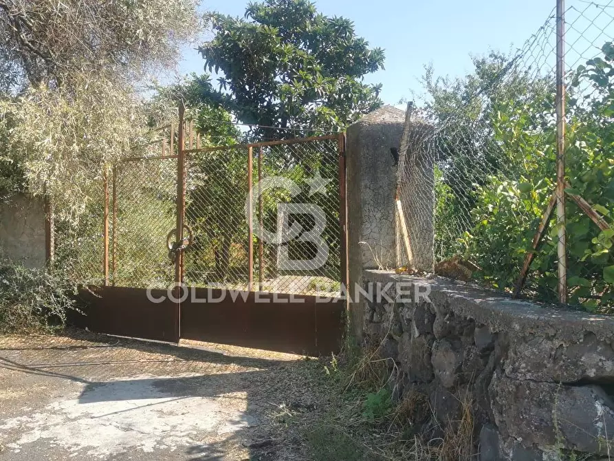 Immagine 1 di Terreno agricolo in vendita  in via Case Nere a Acireale