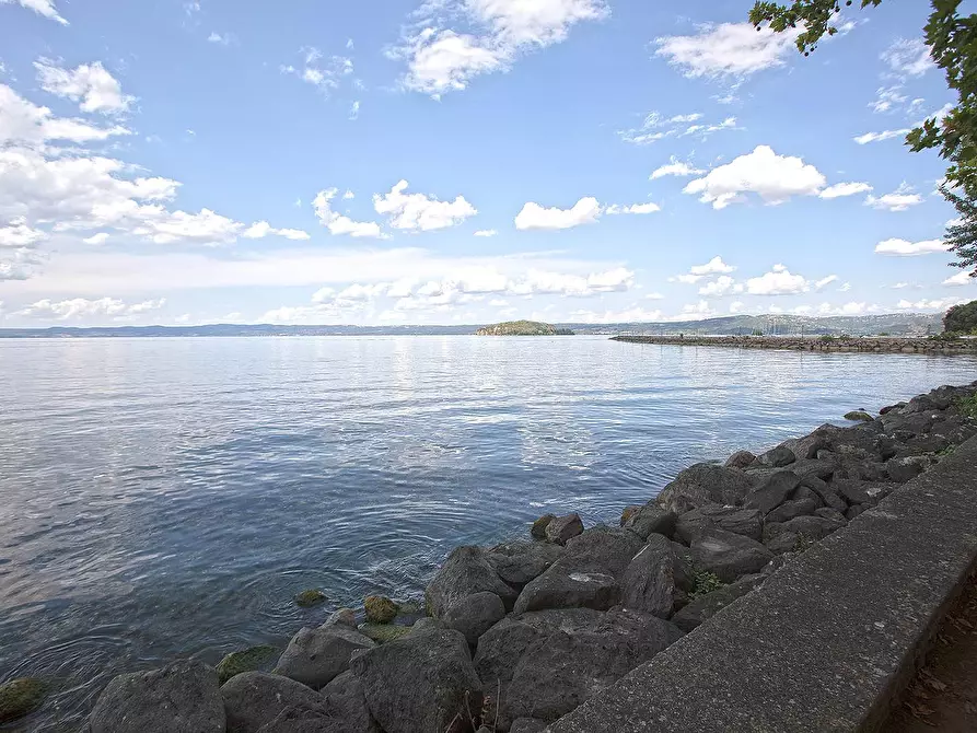 Immagine 43 di Rustico / casale in vendita  in Via degli Orti a Arlena Di Castro
