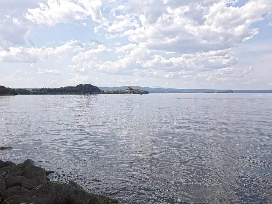 Immagine 42 di Rustico / casale in vendita  in Via degli Orti a Arlena Di Castro