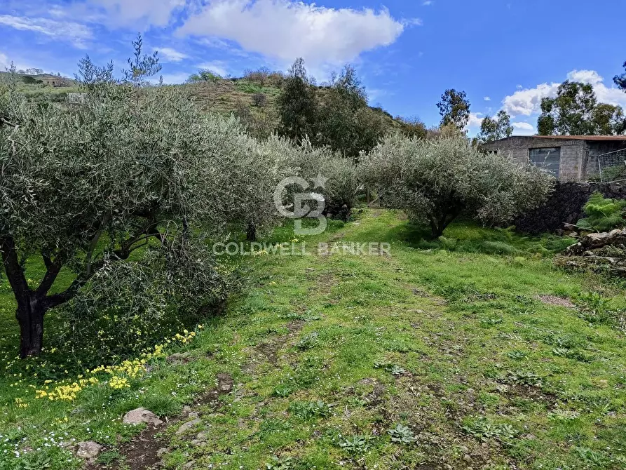 Immagine 1 di Terreno agricolo in vendita  in via Ciapparoti a Linguaglossa