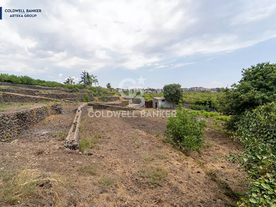 Immagine 1 di Terreno agricolo in vendita  in Via Campanaro snc a Acireale