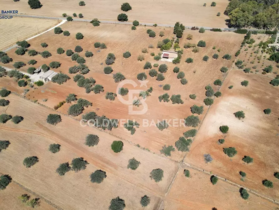 Immagine 1 di Terreno agricolo in vendita  in Contrada Vaccarizzo a Caltagirone