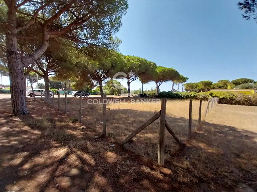 Immagine 2 di Terreno agricolo in vendita  in Viale Etruria snc a Tarquinia