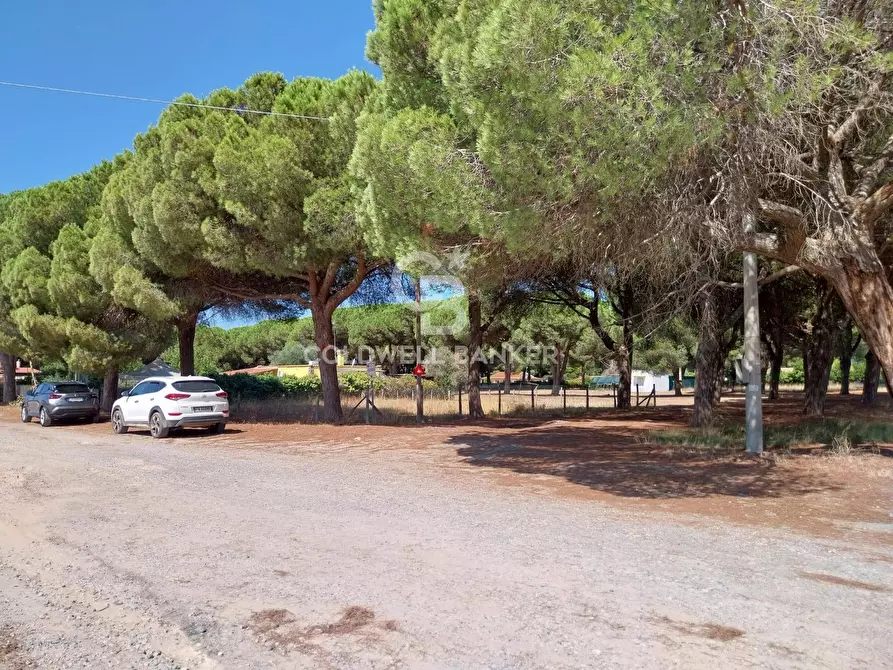Immagine 3 di Terreno agricolo in vendita  in Viale Etruria snc a Tarquinia