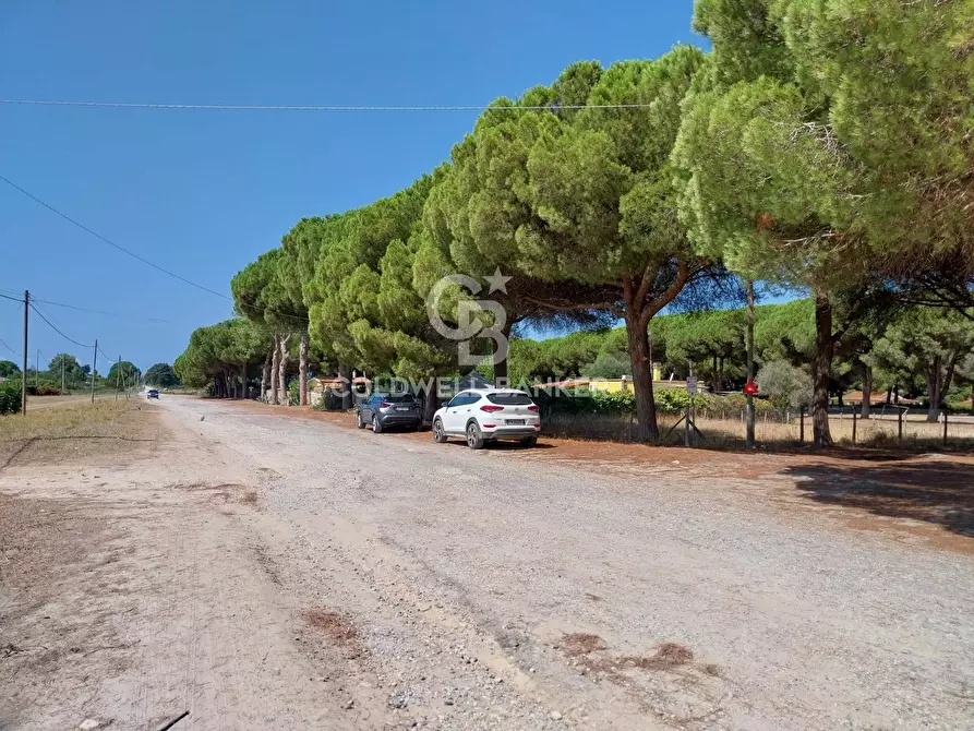 Immagine 4 di Terreno agricolo in vendita  in Viale Etruria snc a Tarquinia