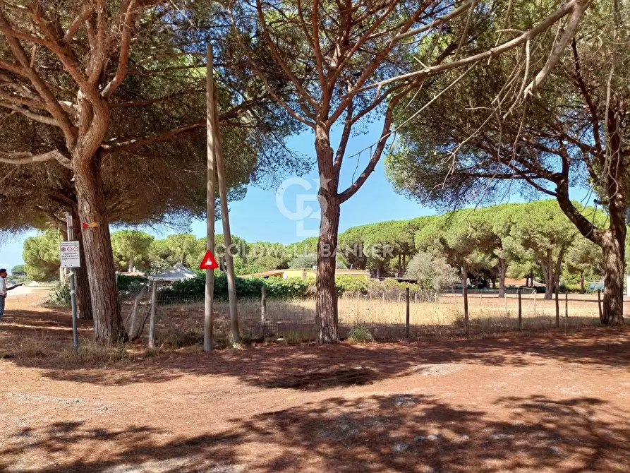 Immagine 5 di Terreno agricolo in vendita  in Viale Etruria snc a Tarquinia