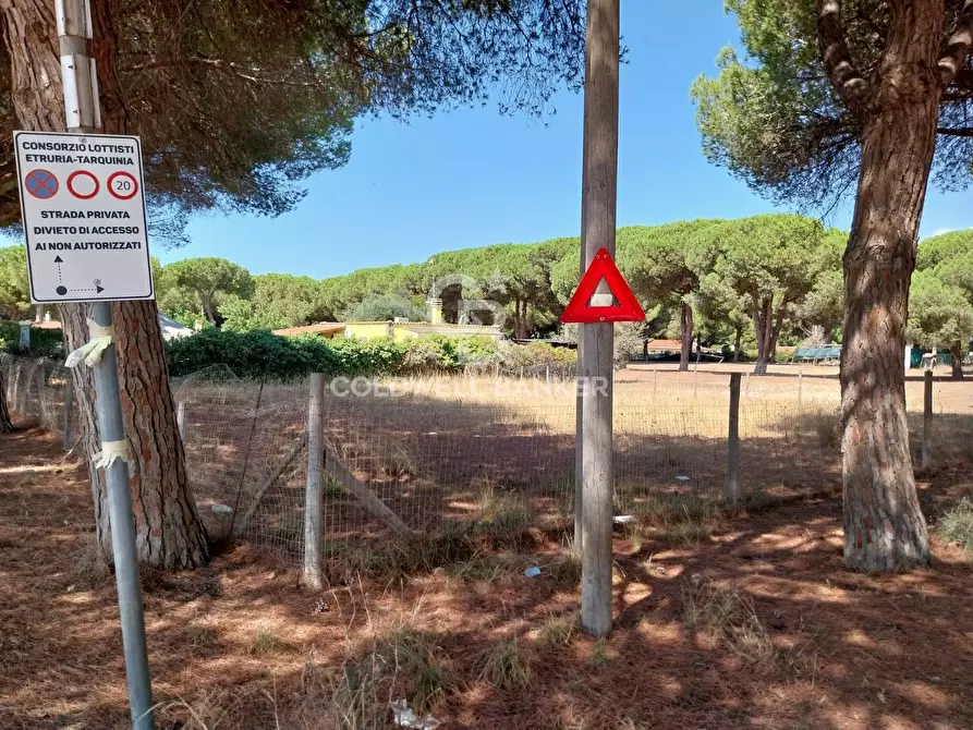 Immagine 7 di Terreno agricolo in vendita  in Viale Etruria snc a Tarquinia