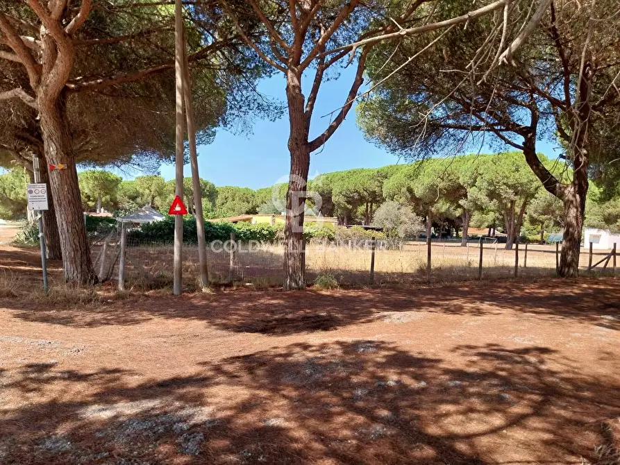 Immagine 8 di Terreno agricolo in vendita  in Viale Etruria snc a Tarquinia