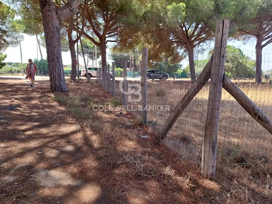 Immagine 9 di Terreno agricolo in vendita  in Viale Etruria snc a Tarquinia