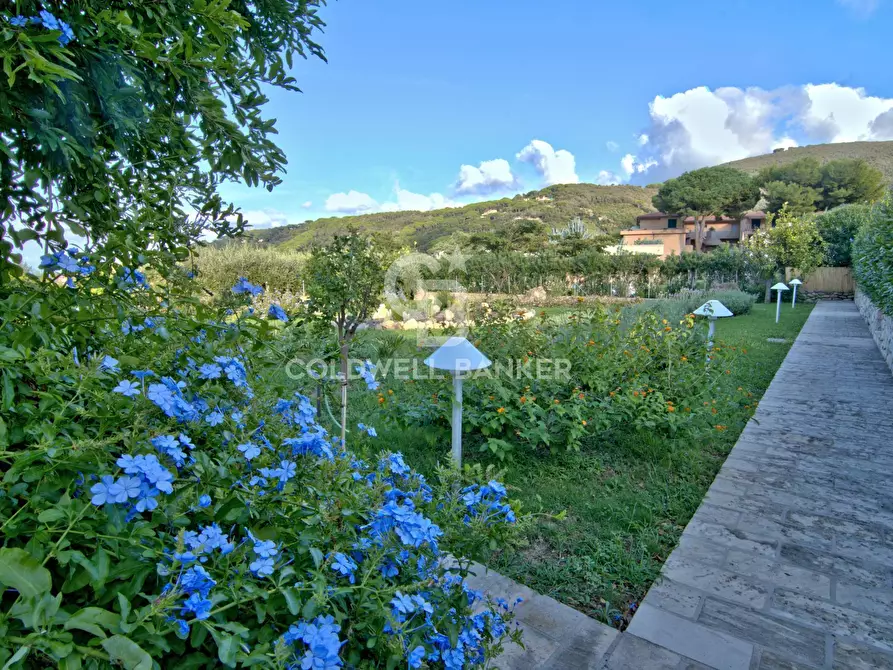 Immagine 28 di Appartamento in vendita  in Loc. La Vecchia a Marciana Marina