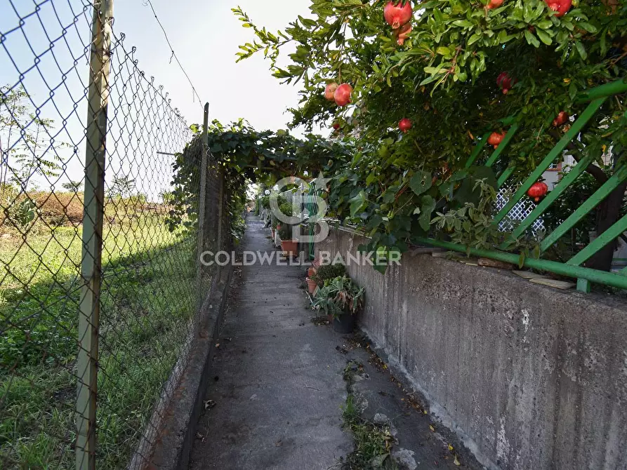 Immagine 28 di Villetta a schiera in vendita  in Via Giuseppe Patanè 26 a Giarre