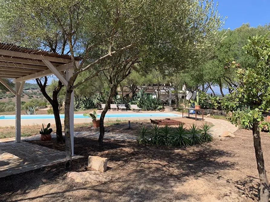 casa indipendente in vendita ad Olbia in zona San Pantaleo