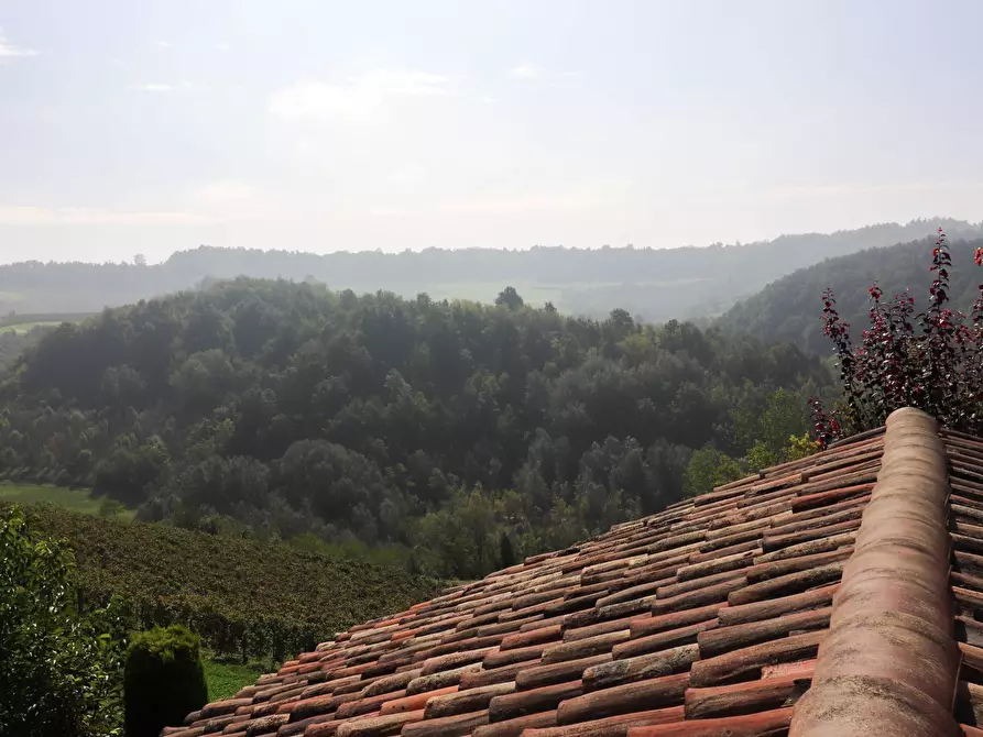 Immagine 29 di Villa in vendita  in Località riviera a Monforte D'alba