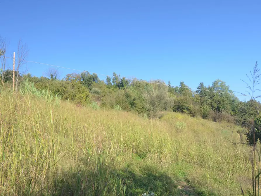 Immagine 36 di Villa in vendita  in Via Valle San Lorenzo 60/a a Santo Stefano Roero