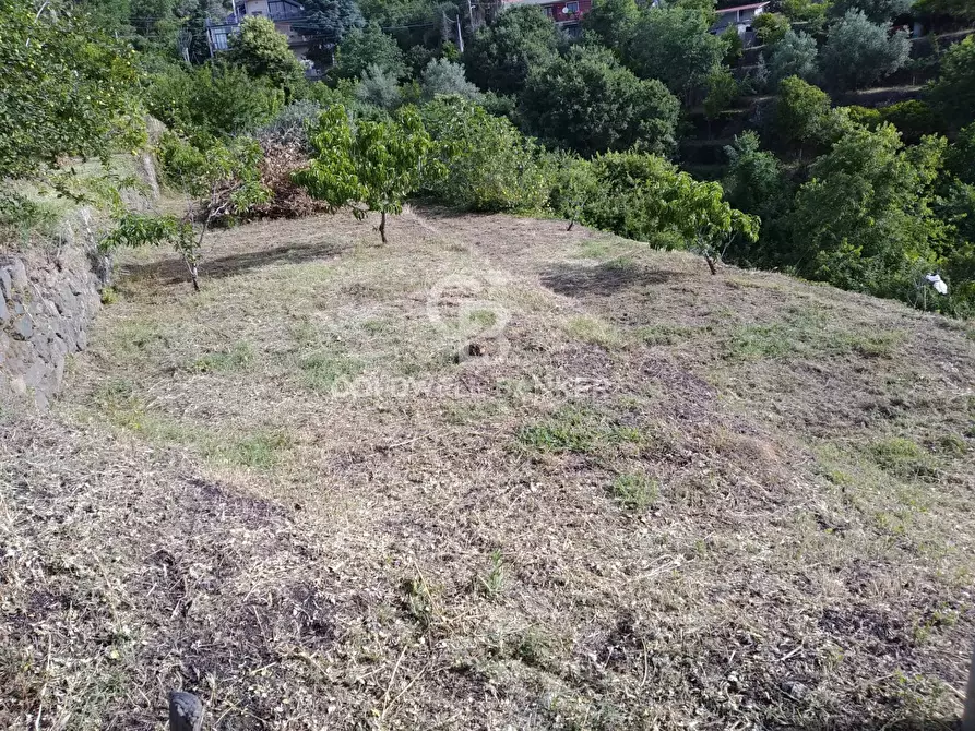 Immagine 5 di Magazzino in vendita  in via dei Paoli a Giarre
