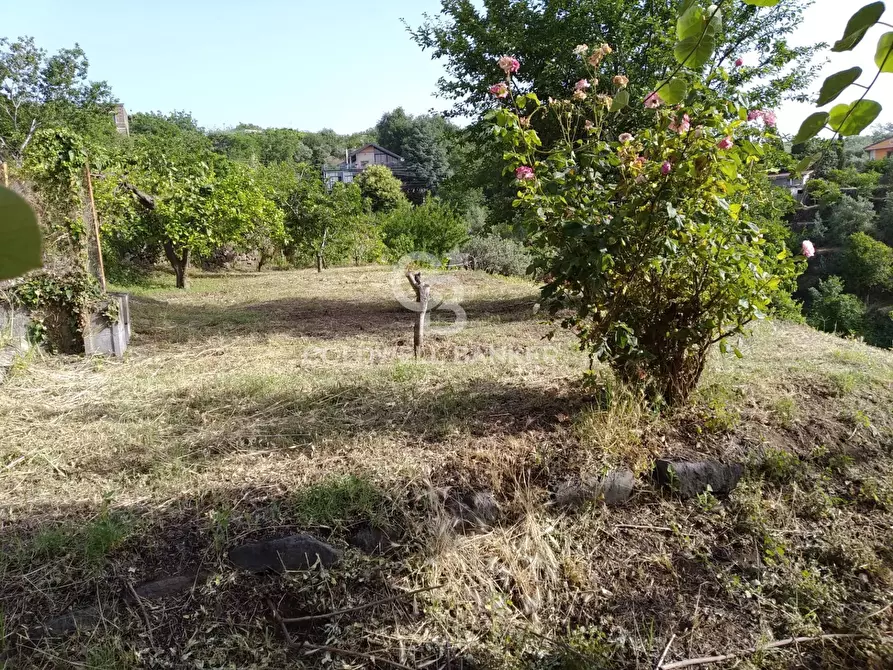 Immagine 6 di Magazzino in vendita  in via dei Paoli a Giarre