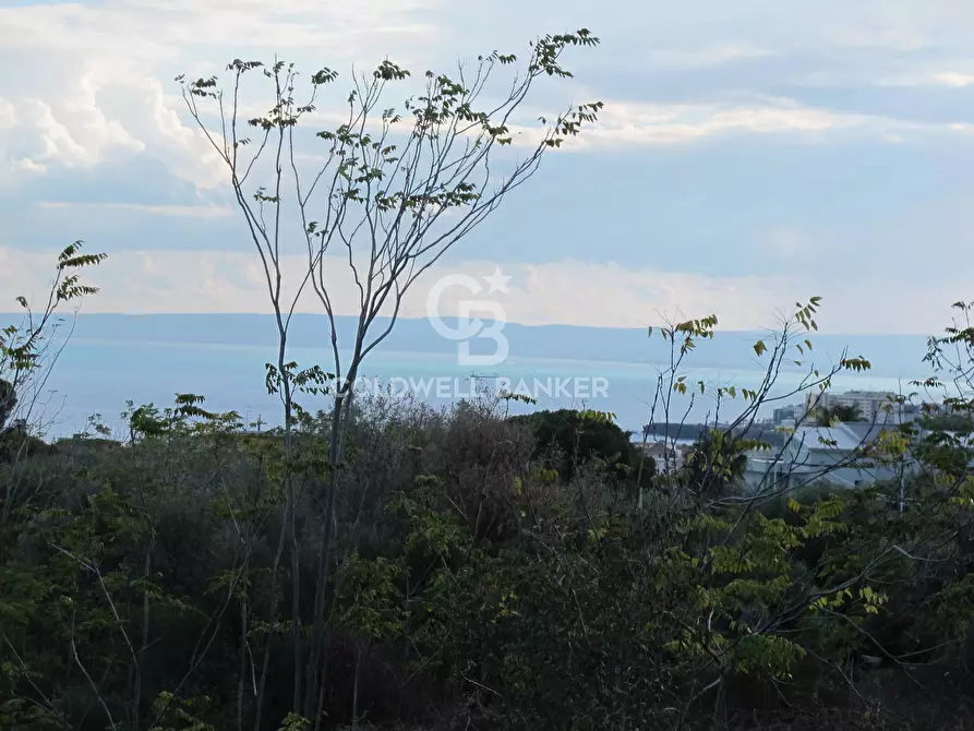 Immagine 1 di Terreno agricolo in vendita  in VIA BISCARI 48 a Aci Castello