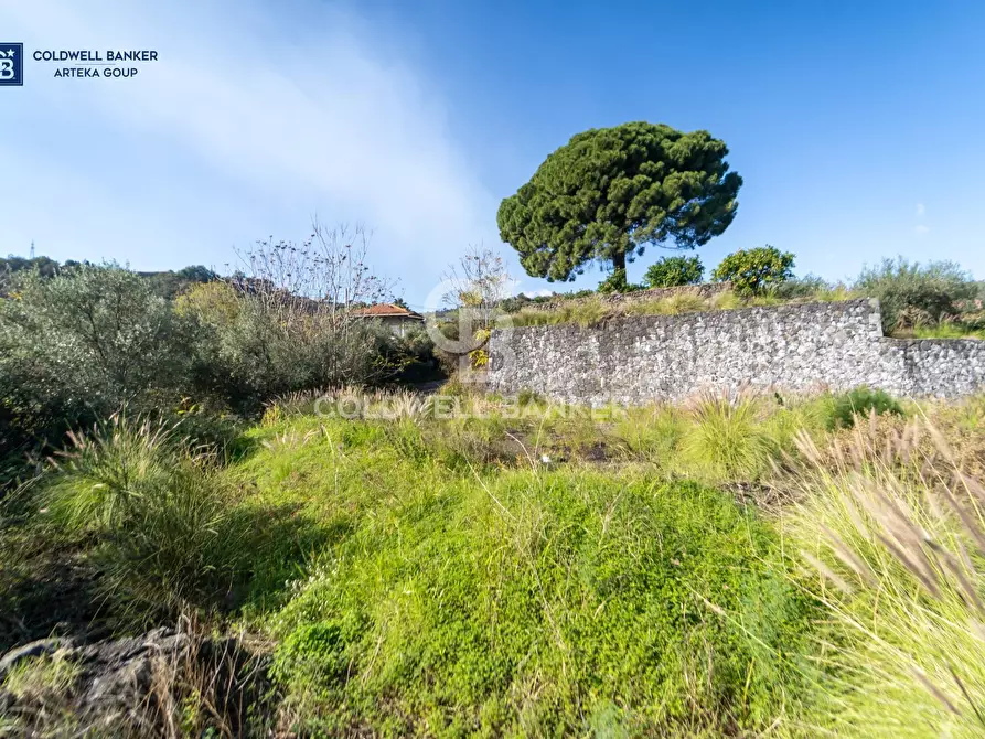 Immagine 41 di Villa in vendita  in via della regione a Giarre