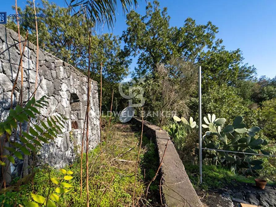 Immagine 42 di Villa in vendita  in via della regione a Giarre
