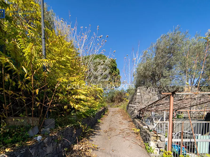 Immagine 43 di Villa in vendita  in via della regione a Giarre