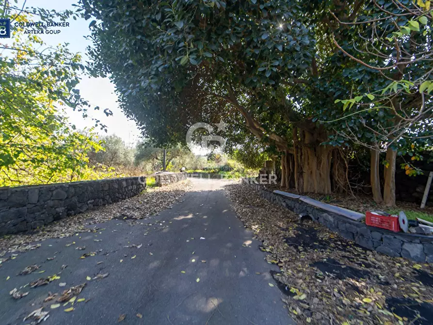 Immagine 45 di Villa in vendita  in via della regione a Giarre