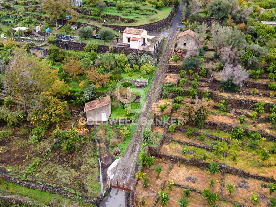 Immagine 1 di Terreno agricolo in vendita  in Via Rina SN a Santa Venerina