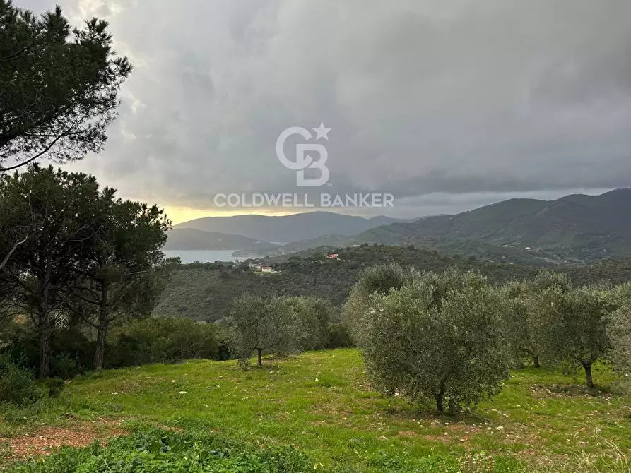 Immagine 7 di Terreno agricolo in vendita  a Porto Azzurro