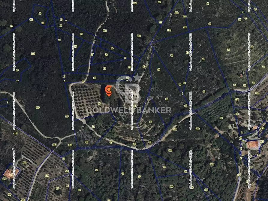 Immagine 3 di Terreno agricolo in vendita  a Porto Azzurro