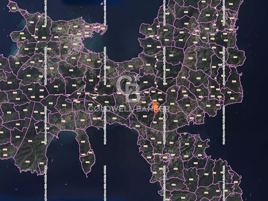 Immagine 9 di Terreno agricolo in vendita  a Porto Azzurro