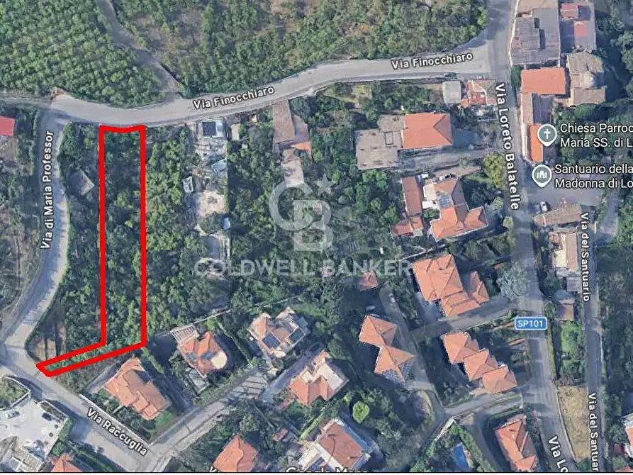 Immagine 9 di Terreno agricolo in vendita  in via Finocchiaro sn a Acireale