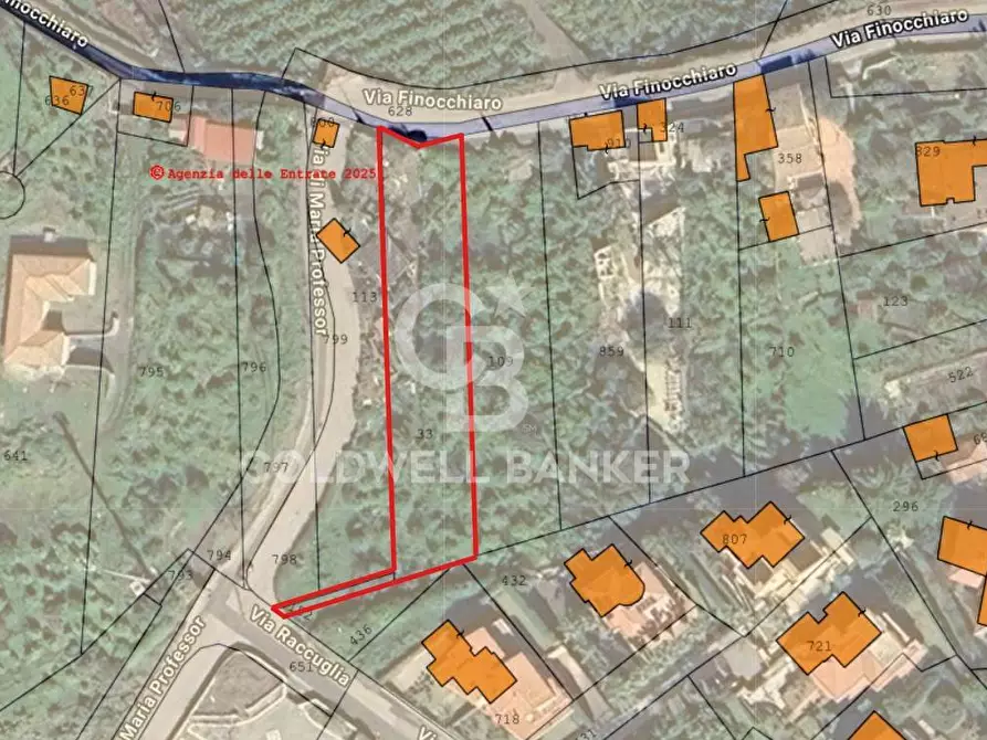 Immagine 1 di Terreno agricolo in vendita  in via Finocchiaro sn a Acireale