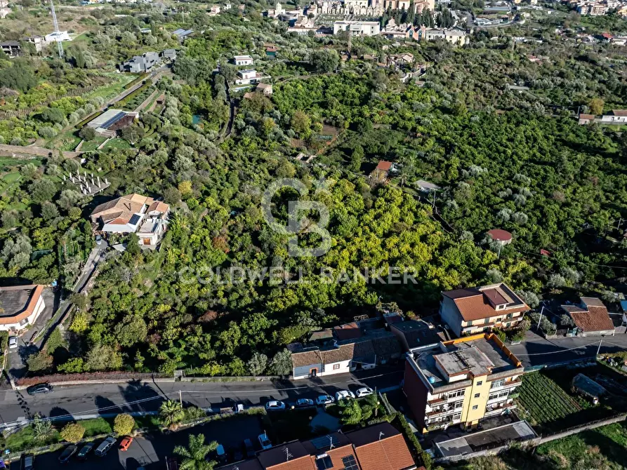 Immagine 3 di Terreno agricolo in vendita  in Via Cubisia 24 a Acireale