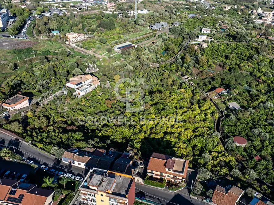 Immagine 4 di Terreno agricolo in vendita  in Via Cubisia 24 a Acireale