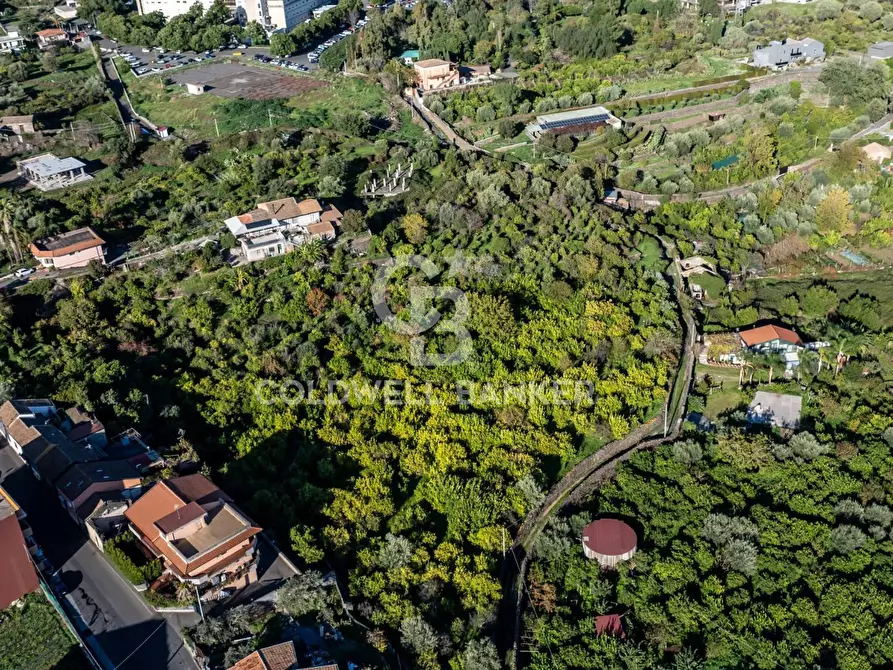 Immagine 5 di Terreno agricolo in vendita  in Via Cubisia 24 a Acireale
