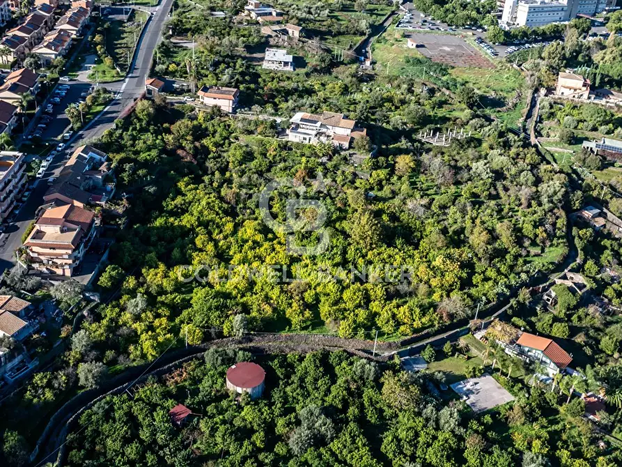 Immagine 6 di Terreno agricolo in vendita  in Via Cubisia 24 a Acireale