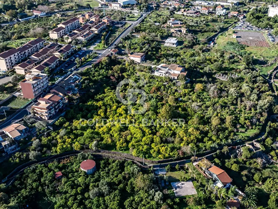 Immagine 7 di Terreno agricolo in vendita  in Via Cubisia 24 a Acireale