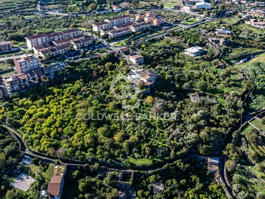 Immagine 8 di Terreno agricolo in vendita  in Via Cubisia 24 a Acireale