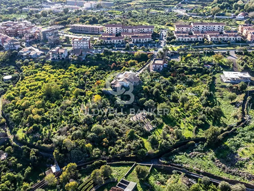 Immagine 10 di Terreno agricolo in vendita  in Via Cubisia 24 a Acireale