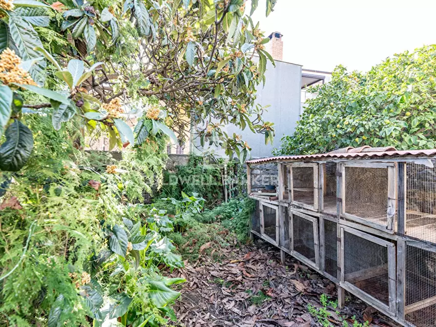 Immagine 16 di Casa semindipendente in vendita  in acicatena via Francesco Strano 38 a Aci Catena