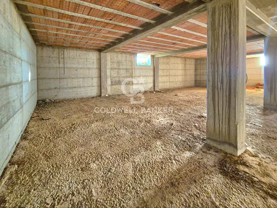 Immagine 18 di Rustico / casale in vendita  in Località Fontanil della Torre snc a Tarquinia