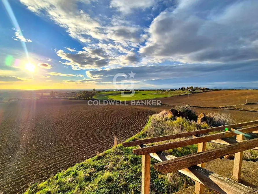Immagine 19 di Rustico / casale in vendita  in Località Fontanil della Torre snc a Tarquinia
