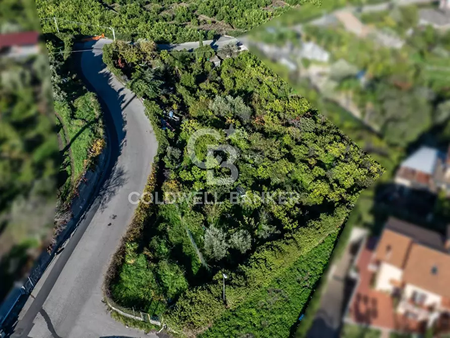 Immagine 2 di Terreno agricolo in vendita  in via Finocchiaro sn a Acireale