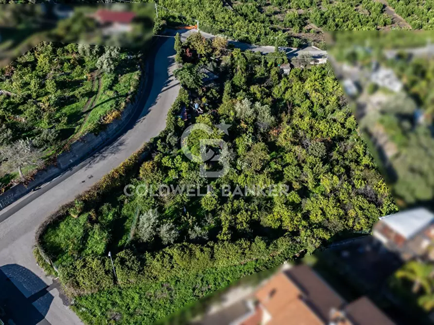 Immagine 3 di Terreno agricolo in vendita  in via Finocchiaro sn a Acireale