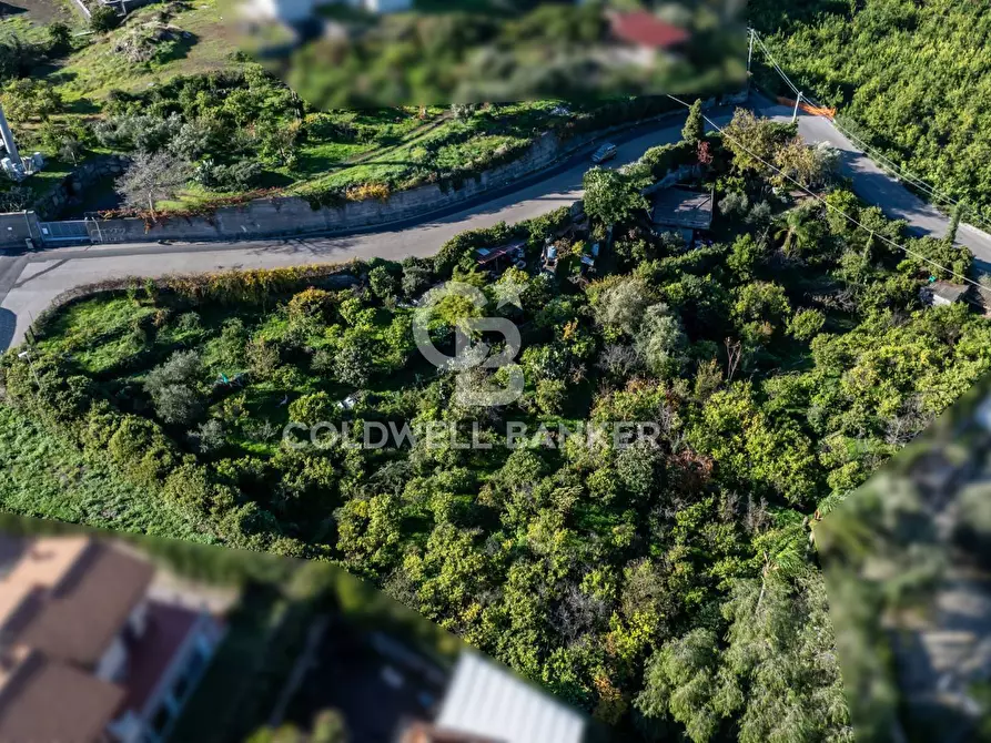 Immagine 4 di Terreno agricolo in vendita  in via Finocchiaro sn a Acireale