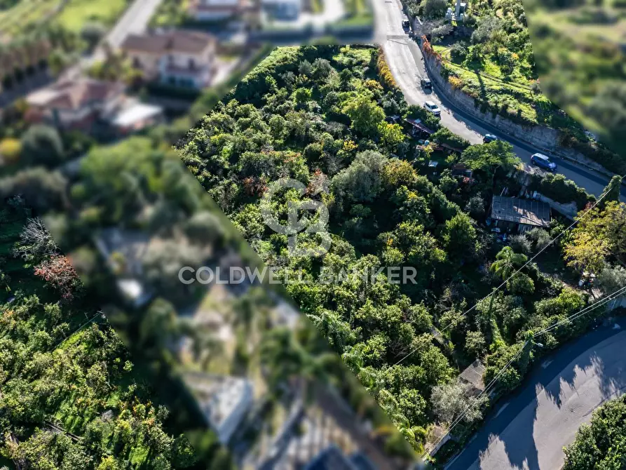Immagine 6 di Terreno agricolo in vendita  in via Finocchiaro sn a Acireale