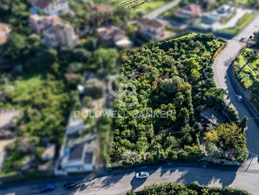 Immagine 7 di Terreno agricolo in vendita  in via Finocchiaro sn a Acireale