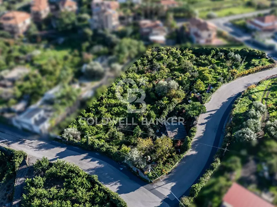 Immagine 8 di Terreno agricolo in vendita  in via Finocchiaro sn a Acireale