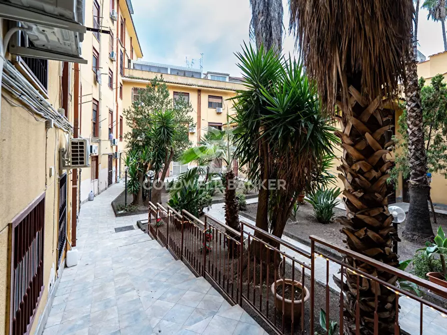 Immagine 5 di Appartamento in affitto  in Via Canfora 144 a Catania