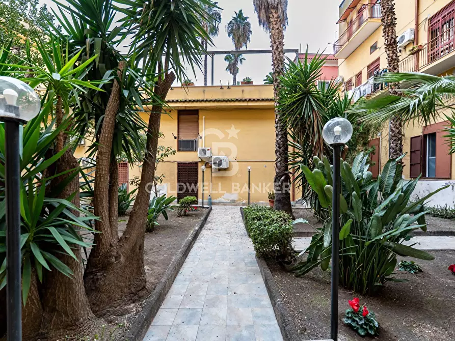 Immagine 7 di Appartamento in affitto  in Via Canfora 144 a Catania