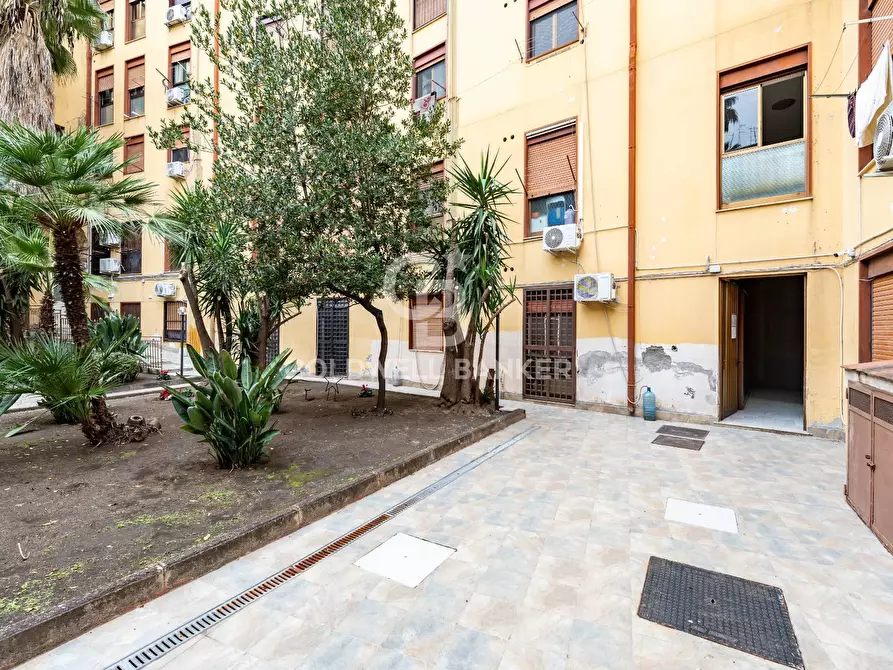 Immagine 12 di Appartamento in affitto  in Via Canfora 144 a Catania